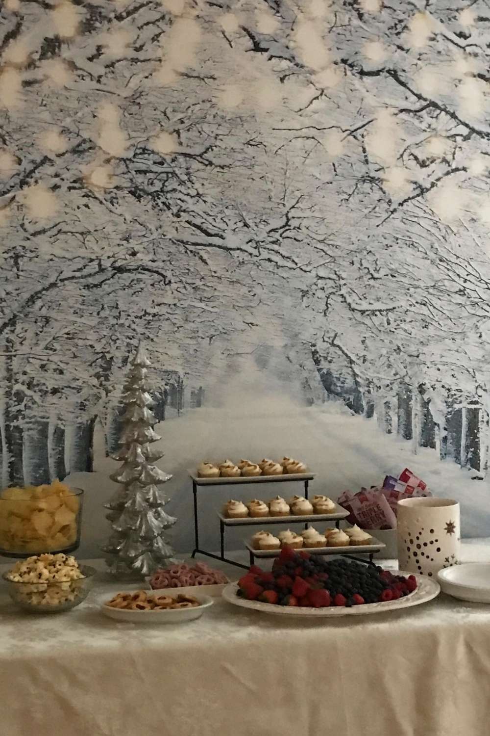 Simple Winter Themed Party Ideas simple-winter-themed-party-ideas