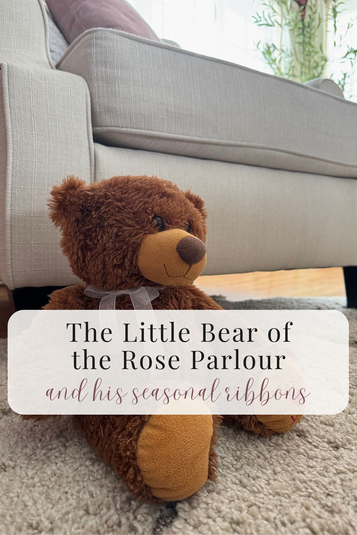 The little bear of the Rose Parlour sitting on a soft rug by a comfy chair.