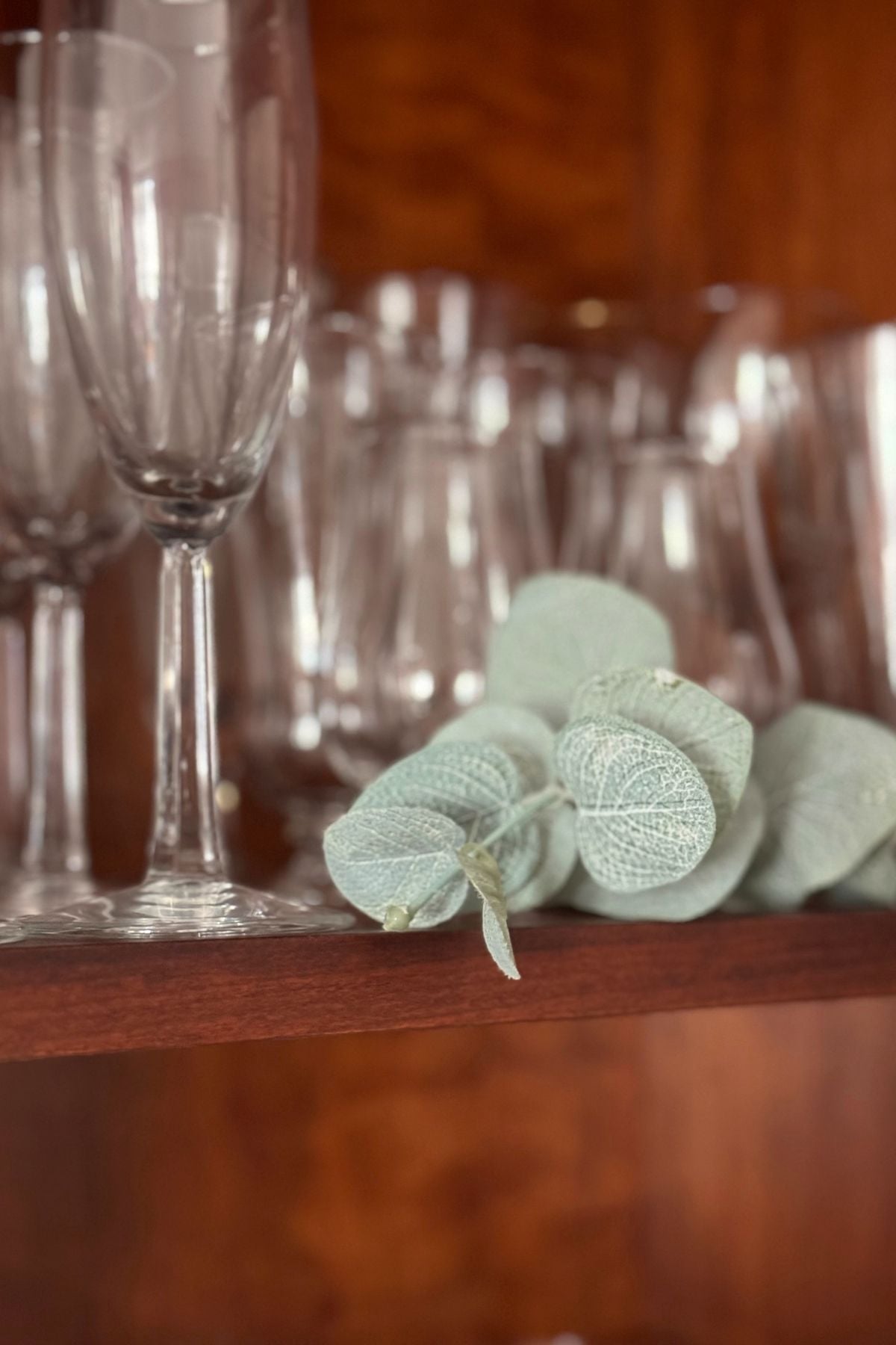 Eucalyptus and wine glasses in a china cabinet.
