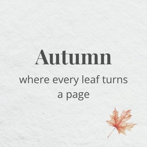 storybook cottage autumn collection (1) Autumn ideas. Where every leaf turns a page.