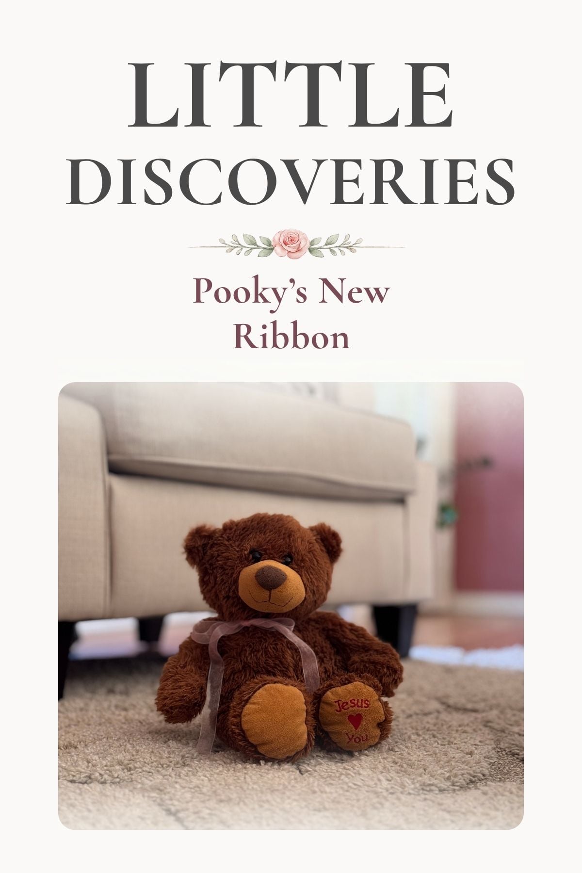 Pooky the cottage bear Little Discoveries: Pooky, the cottage bear, gets a new ribbon each season